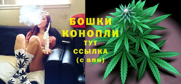 прущие грибы Алексин