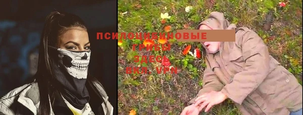 каннабис Алзамай
