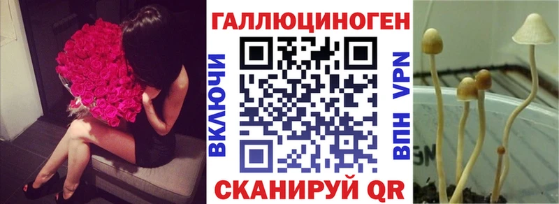Галлюциногенные грибы Psilocybe Мирный