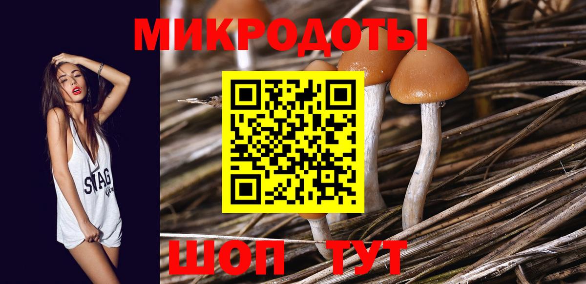Галлюциногенные грибы MAGIC MUSHROOMS Мирный